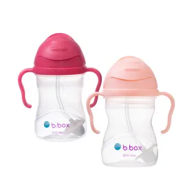 2 pack sippy cup - raspberry   tutti frutti