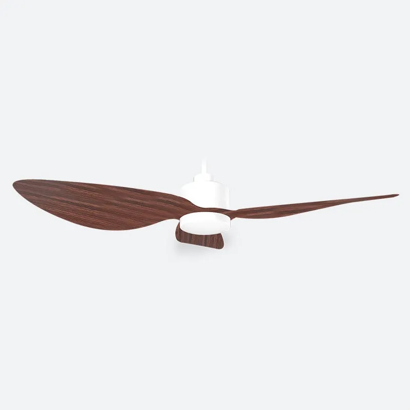 AEF1 Scandinavian Decor Fans (T5F)