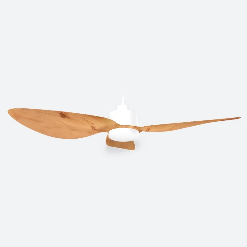 AEF1 Scandinavian Decor Fans (T5F)