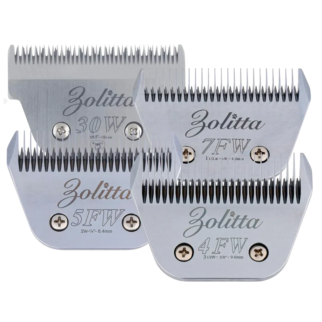 Best-Selling Wide Blades Set of 4 by Zolitta