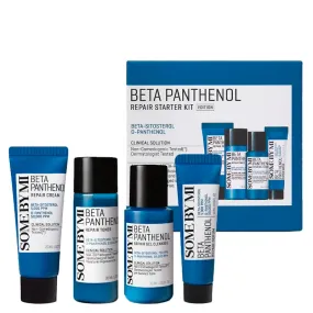 Beta Panthenol Repair Starter Kit