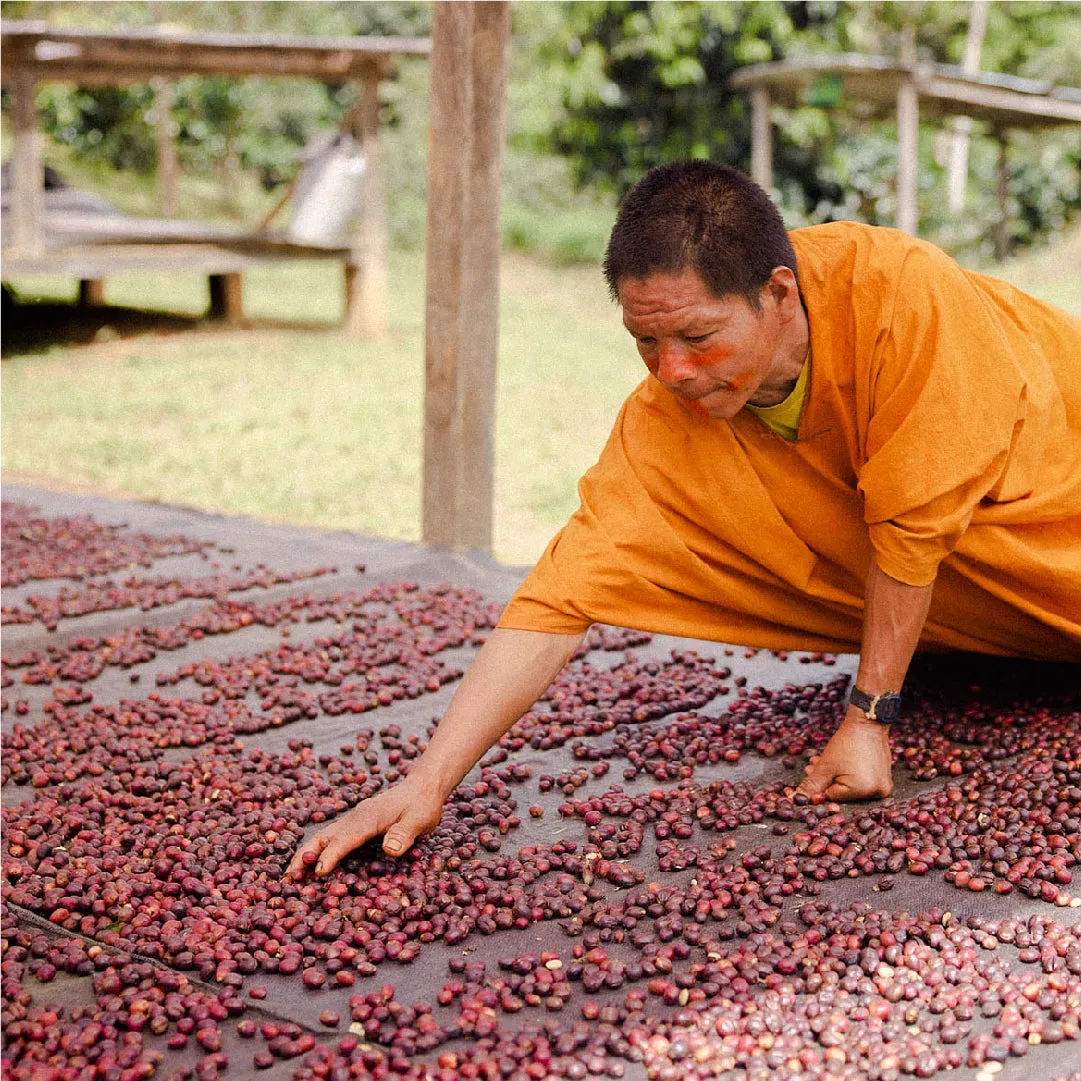 Carlos Camacho Indigenous Coffee