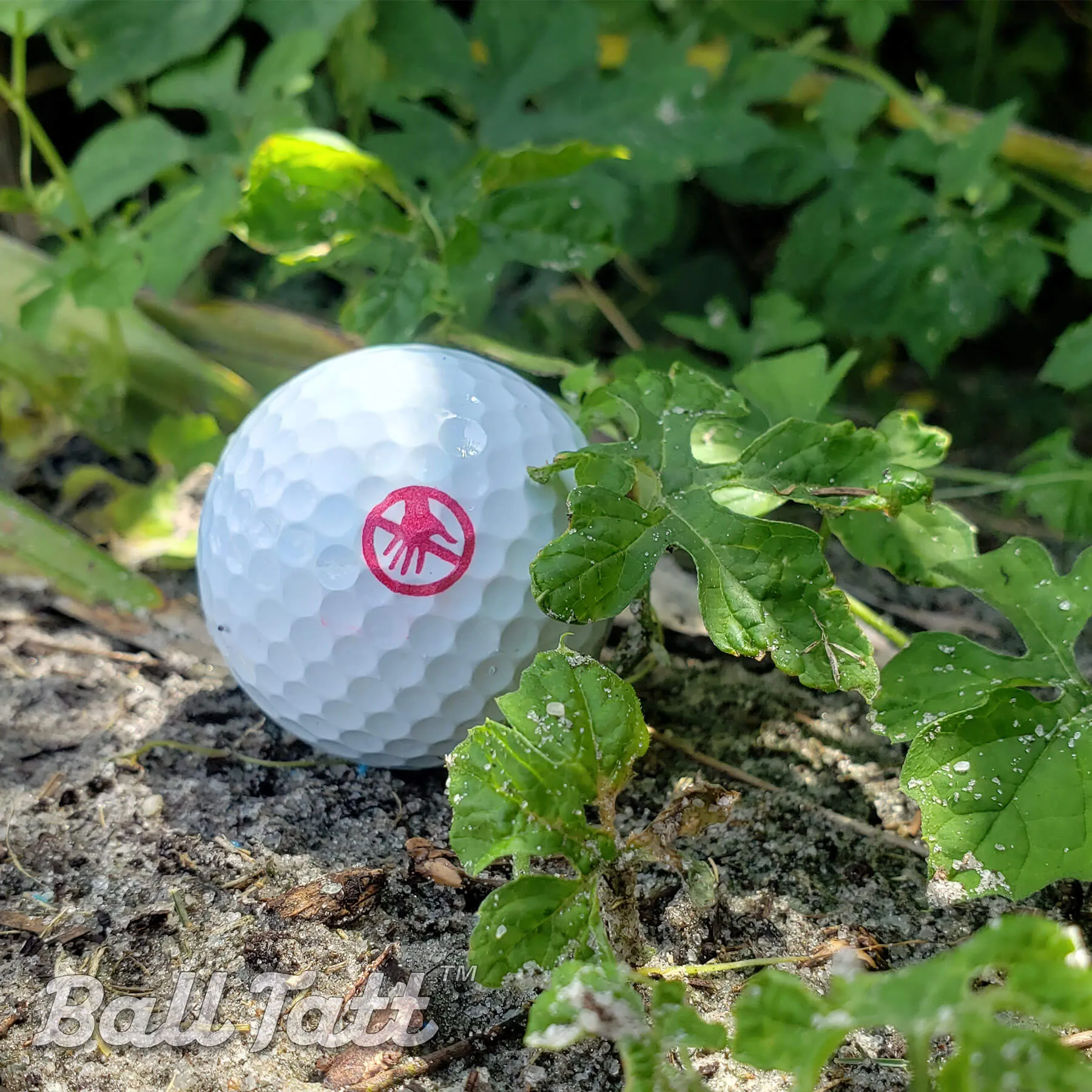 Don’t Touch Golf Ball Stamp