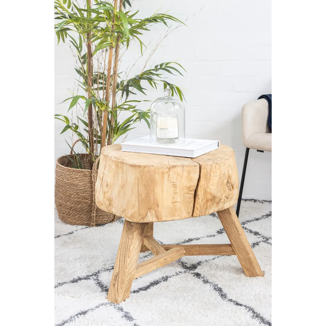 Elm Tree Trunk Side Table