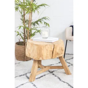 Elm Tree Trunk Side Table