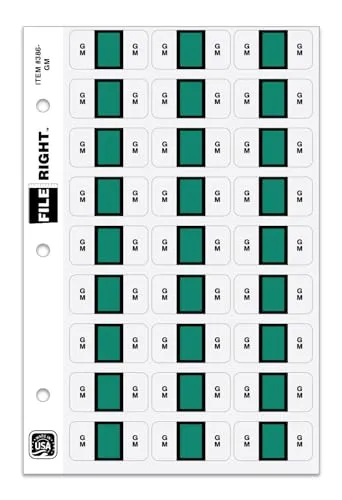 File Right Color Code Auto Makes Labels Compatible with Leading Automotive Systems - 1-1/2" × 3/4" Die-Cut Laminated Automotive Labels - 270 Labels/Ringbook Set