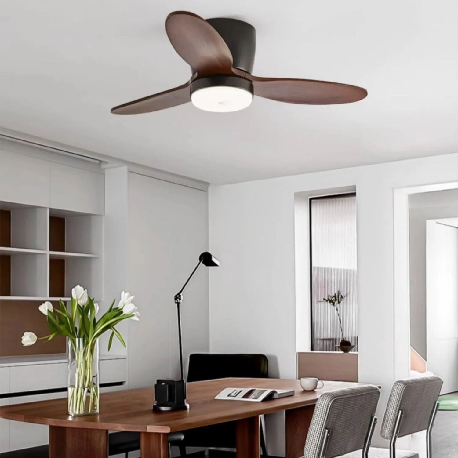 Havlikek | Lighted Ceiling Fan