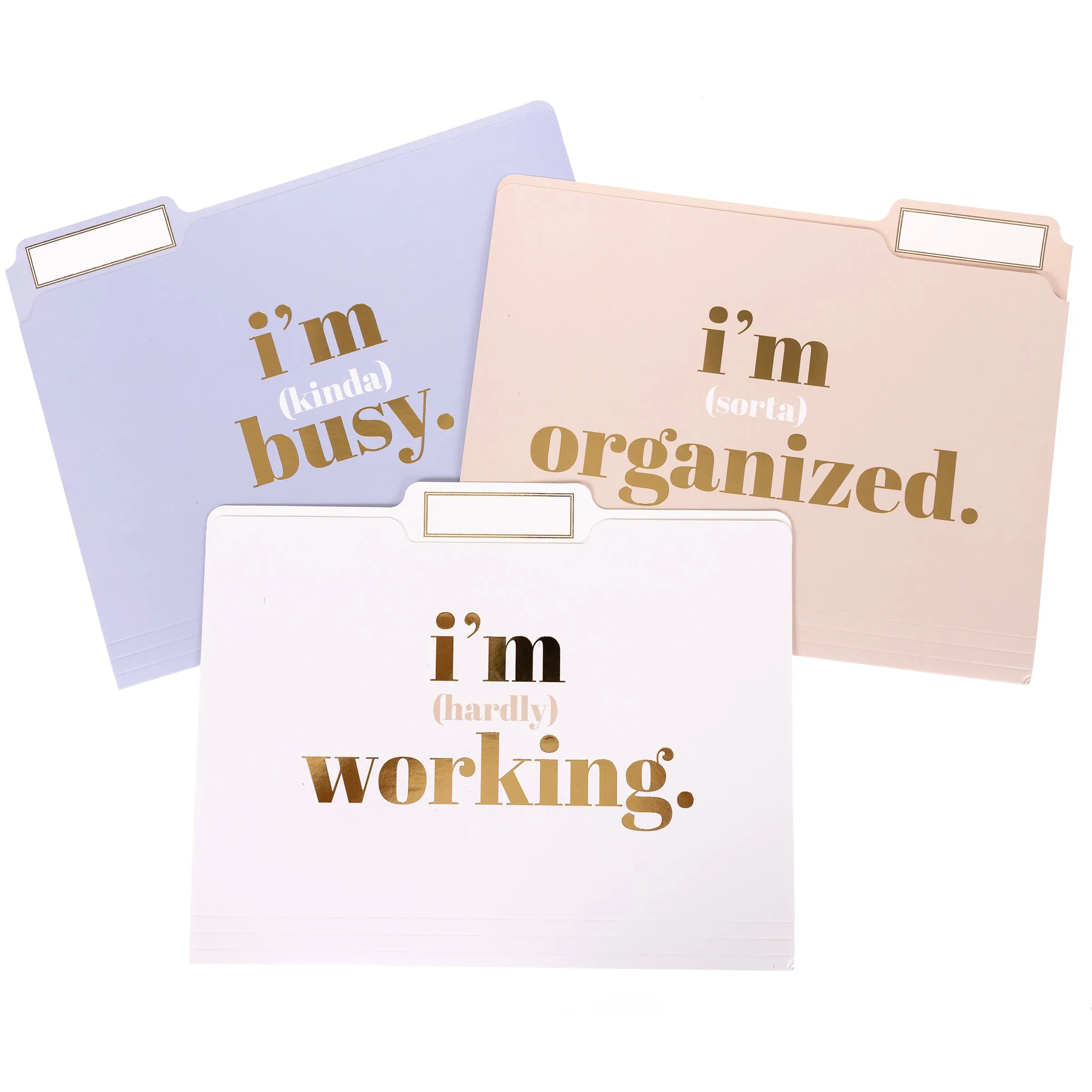 I'm Busy File Folder Set