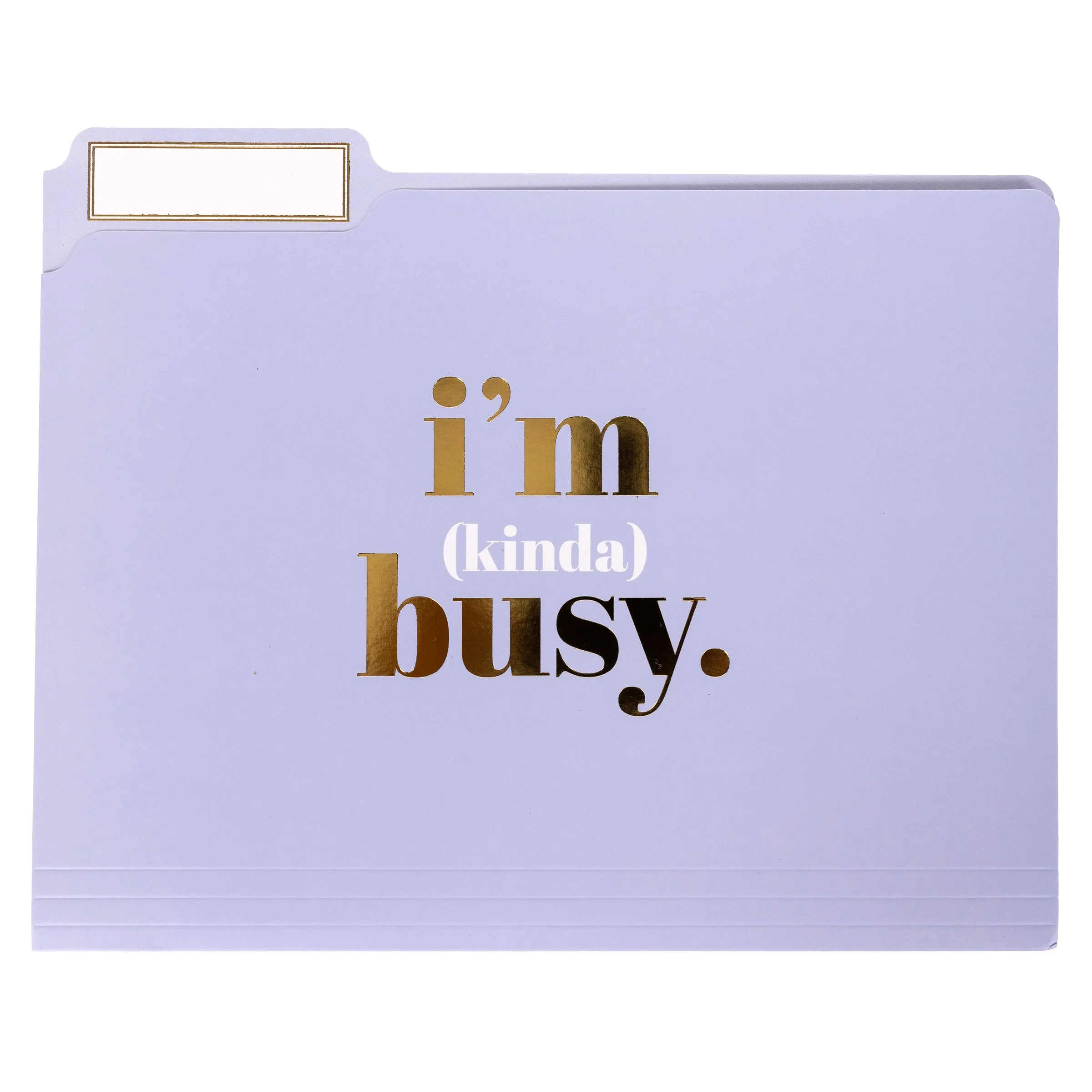 I'm Busy File Folder Set