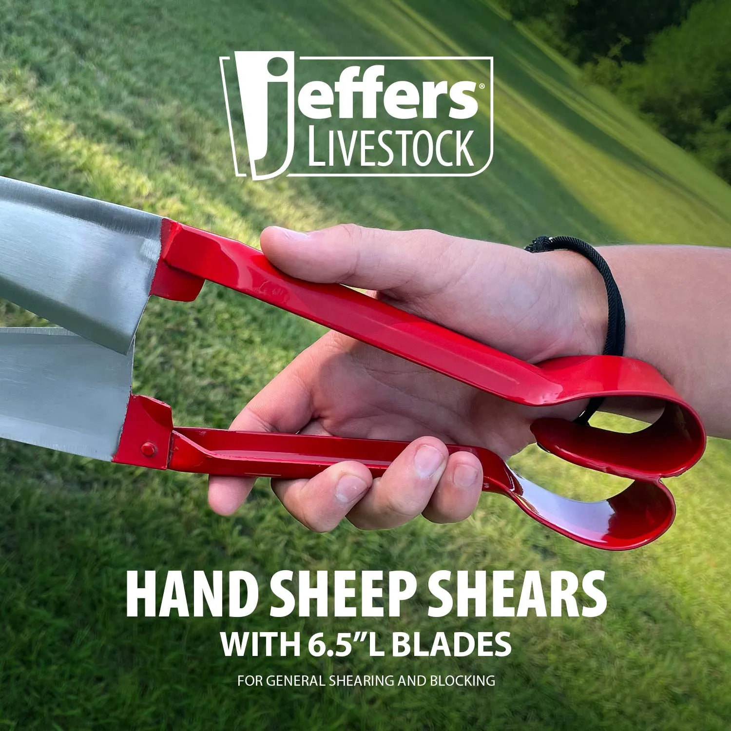 Jeffers Hand Sheep Shears