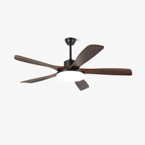 Keltis 48"/52" Ceiling Fan Light