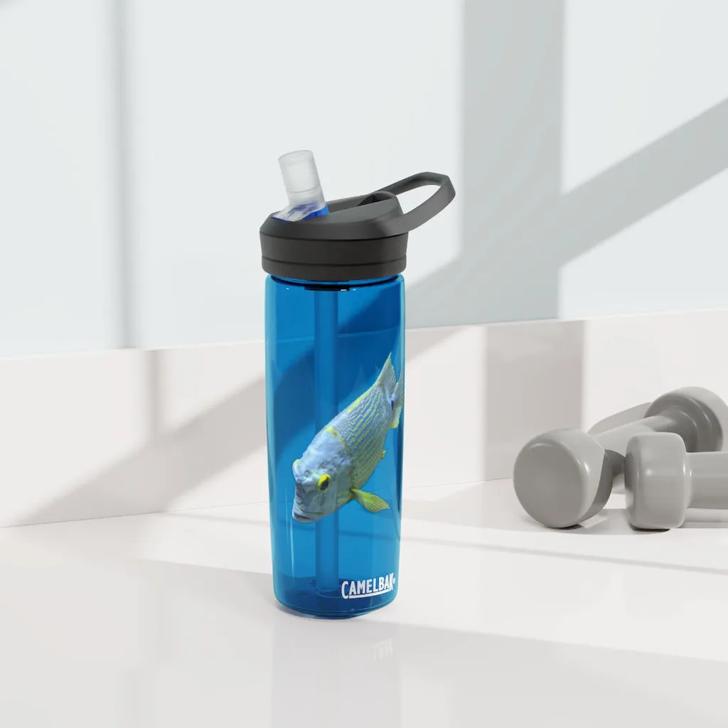 Light Blue Fish CamelBak Eddy®  Water Bottle, 20oz / 25oz