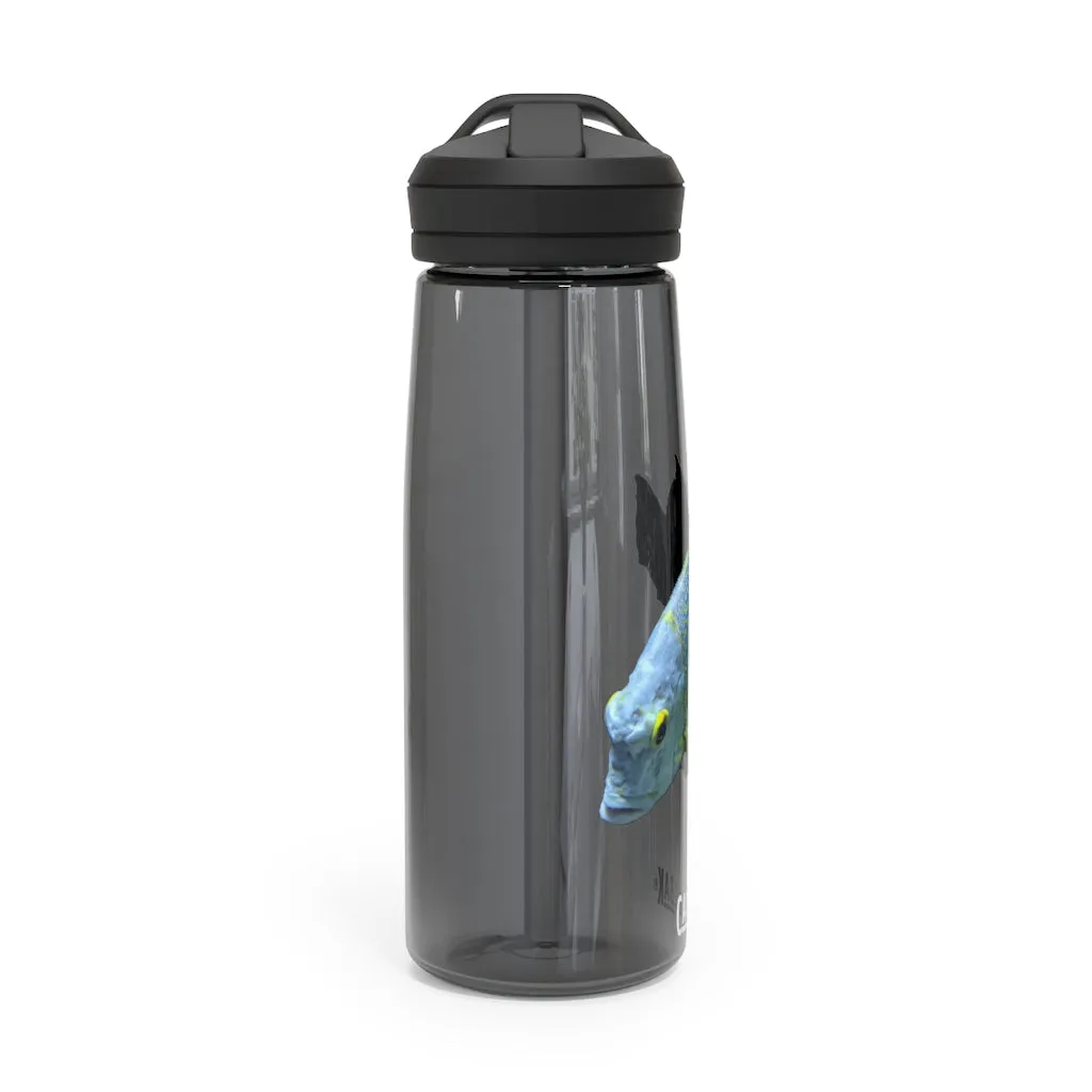 Light Blue Fish CamelBak Eddy®  Water Bottle, 20oz / 25oz