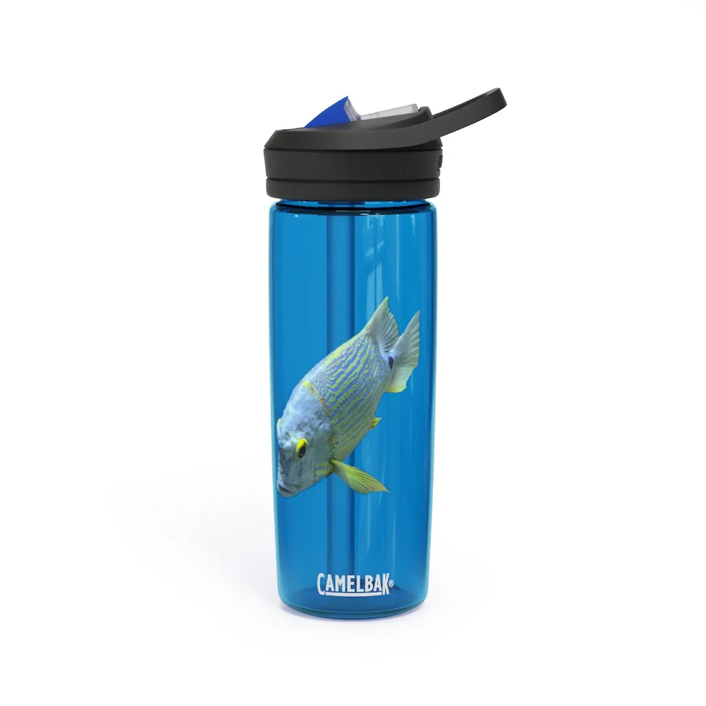 Light Blue Fish CamelBak Eddy®  Water Bottle, 20oz / 25oz