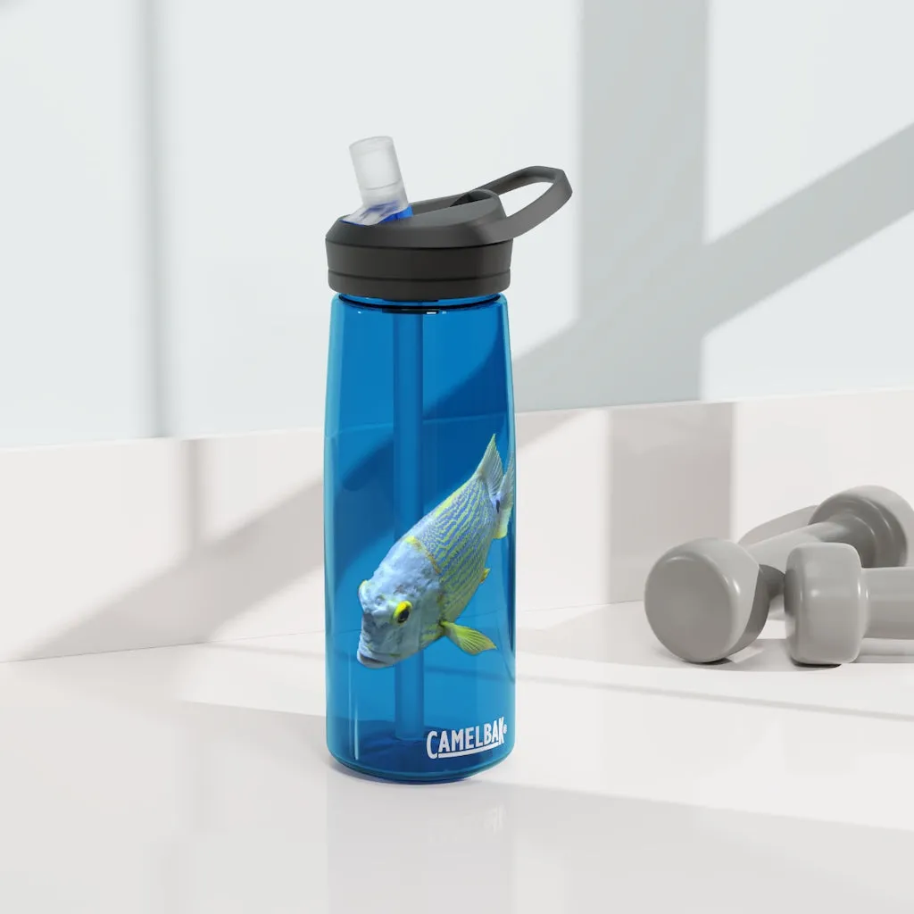 Light Blue Fish CamelBak Eddy®  Water Bottle, 20oz / 25oz