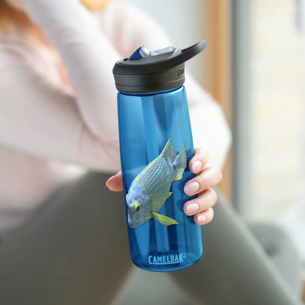 Light Blue Fish CamelBak Eddy®  Water Bottle, 20oz / 25oz