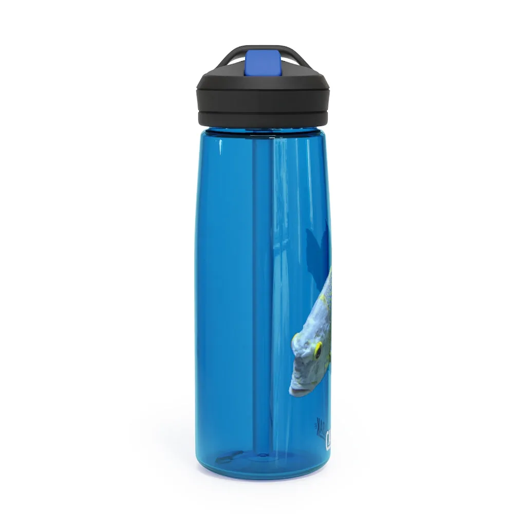 Light Blue Fish CamelBak Eddy®  Water Bottle, 20oz / 25oz