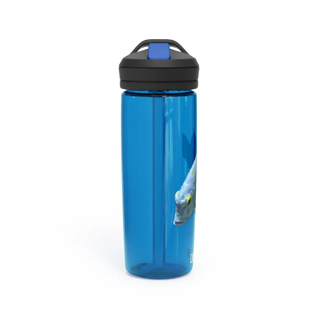 Light Blue Fish CamelBak Eddy®  Water Bottle, 20oz / 25oz