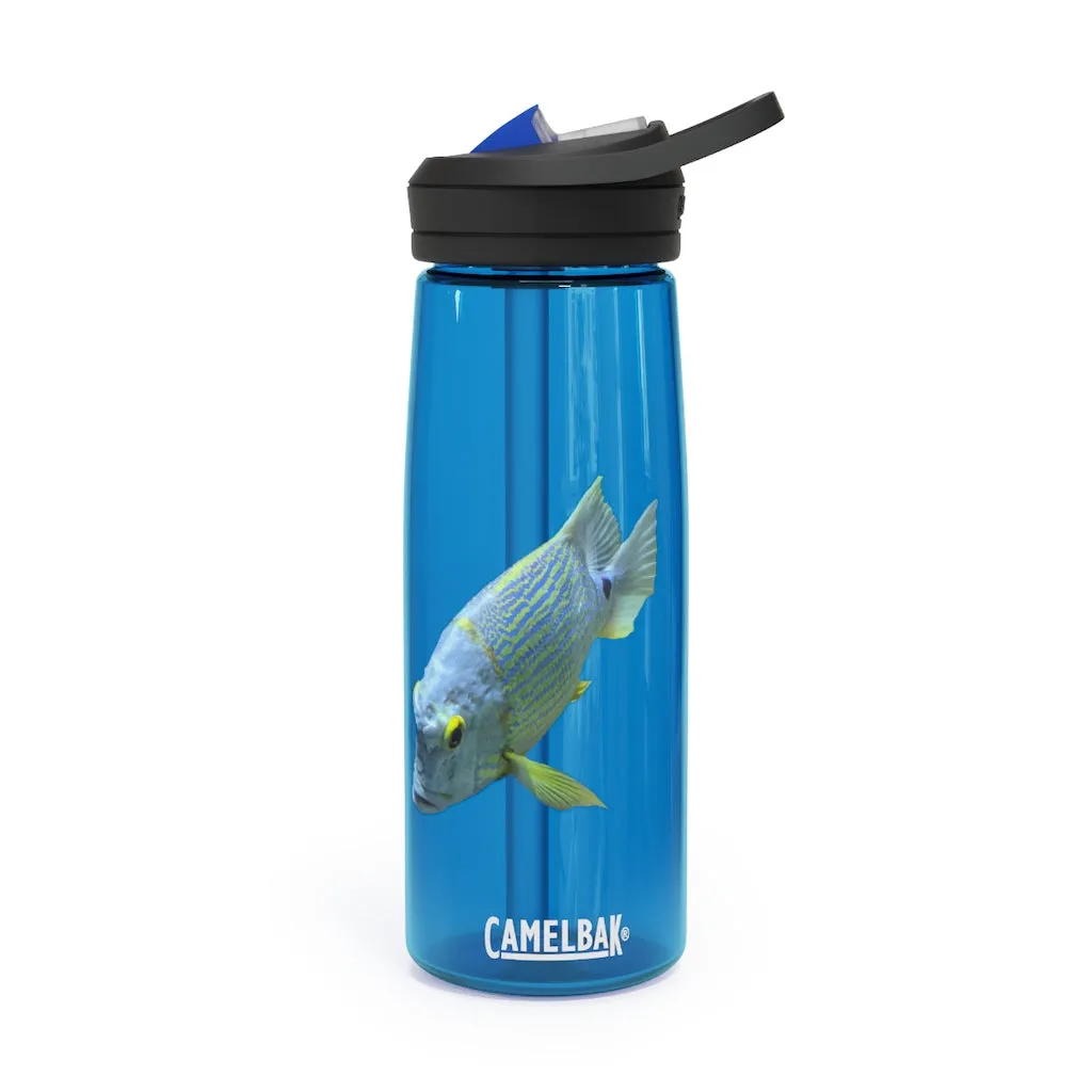 Light Blue Fish CamelBak Eddy®  Water Bottle, 20oz / 25oz