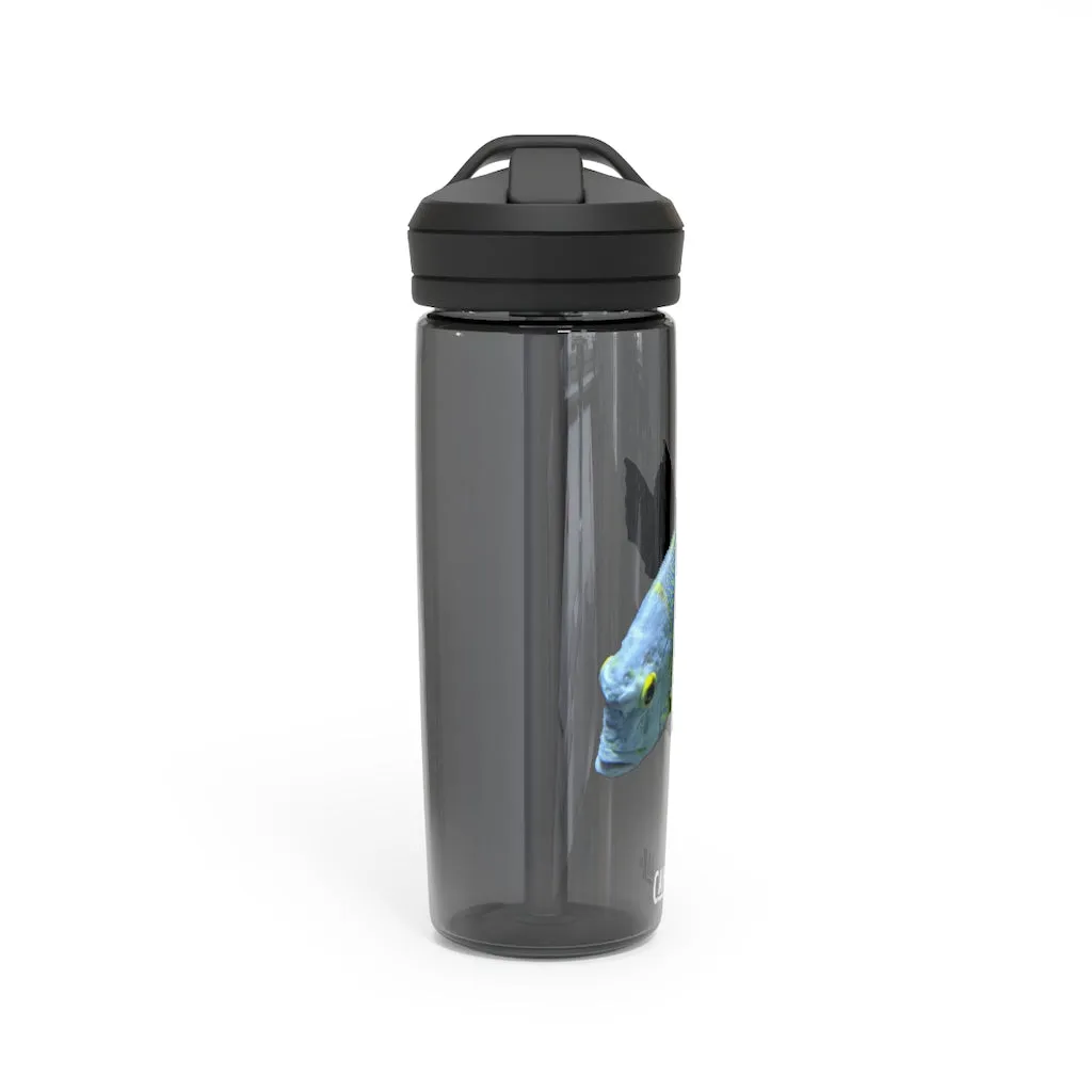 Light Blue Fish CamelBak Eddy®  Water Bottle, 20oz / 25oz