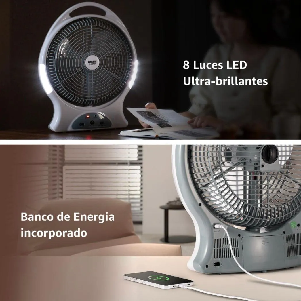 Ludger 12" Rechargeable Oscillating Fan with LED Light