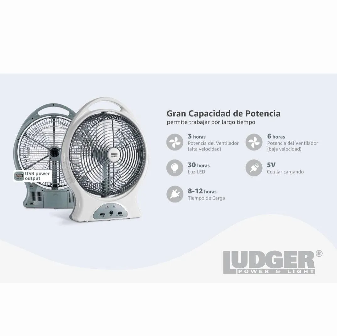 Ludger 12" Rechargeable Oscillating Fan with LED Light