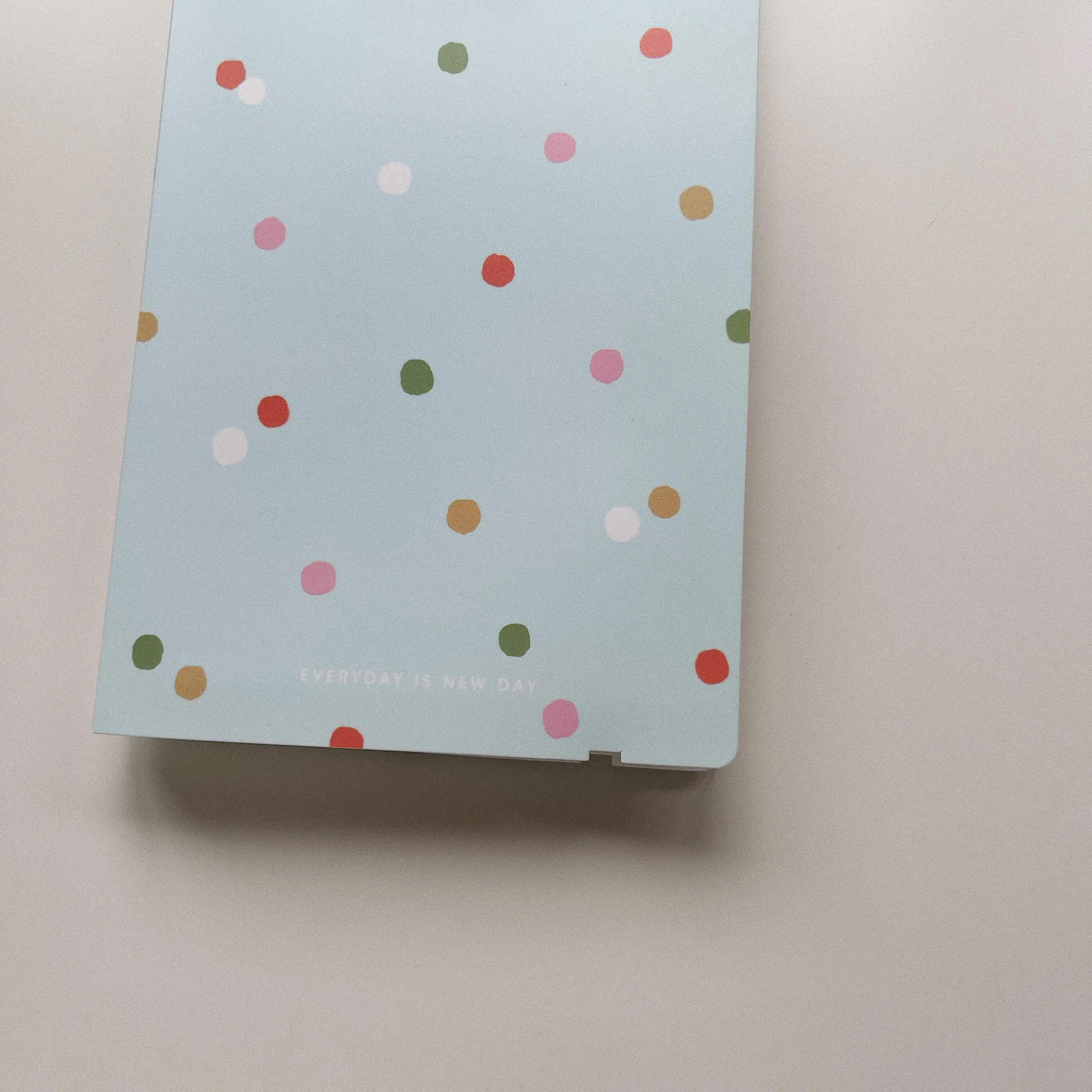 Multi-Sticker Pocket File - Pistachio