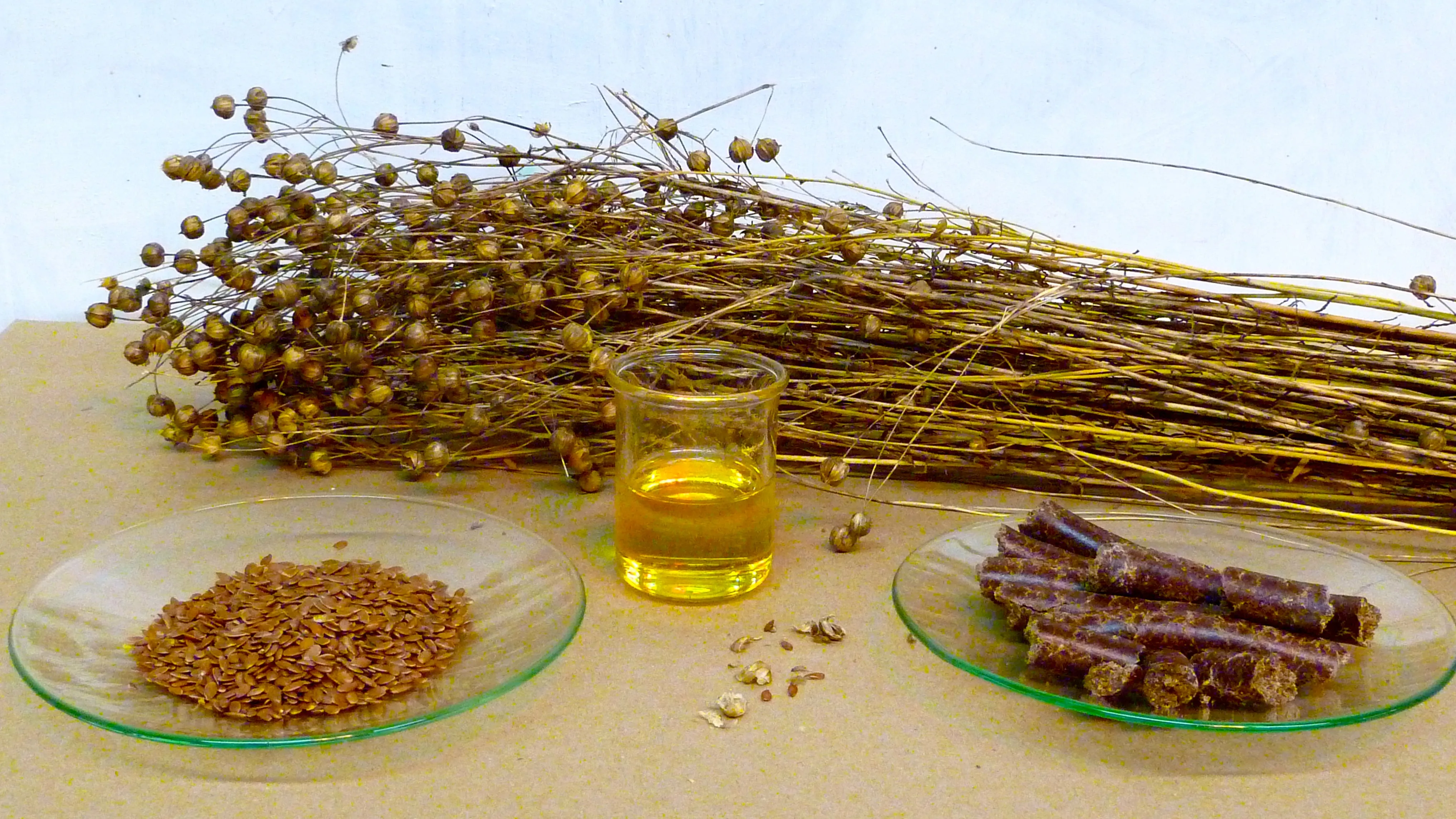 Oil Flaxseed (Linseed Oil)