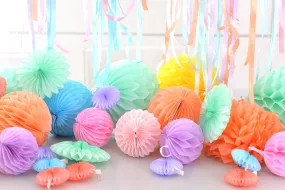 Party Paper honeycomb and pom pom set | Birthday decorations | baby shower decor