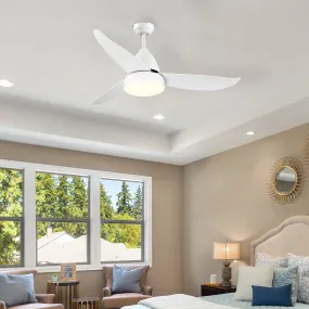 Reversible Ceiling Fan with Light