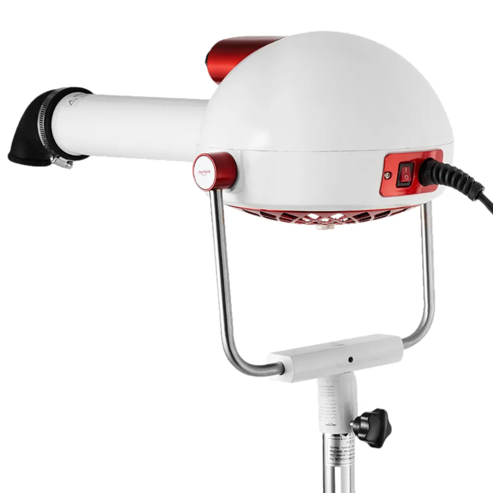 Shernbao Anionic Brushless Dryer with Heater   Stand