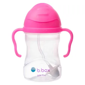 sippy cup - pink pomegranate