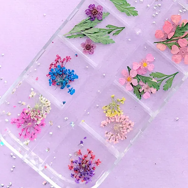 Small Dried Flower and Leaf | Floral Resin Inclusions | Wild Carrot Flower for Nail Art | Queen Anne's Lace Embellishments (1 Box of 12 Colors)