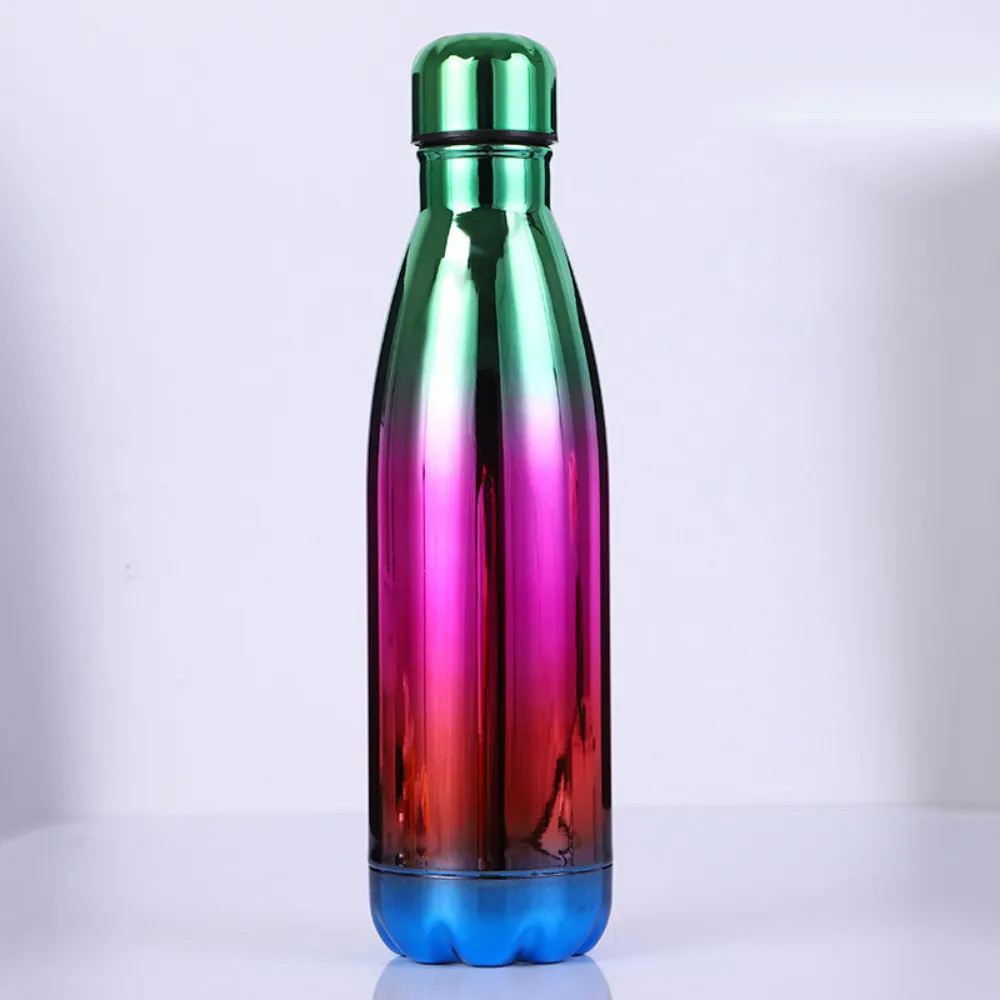 Stainless Steel Water Bottles