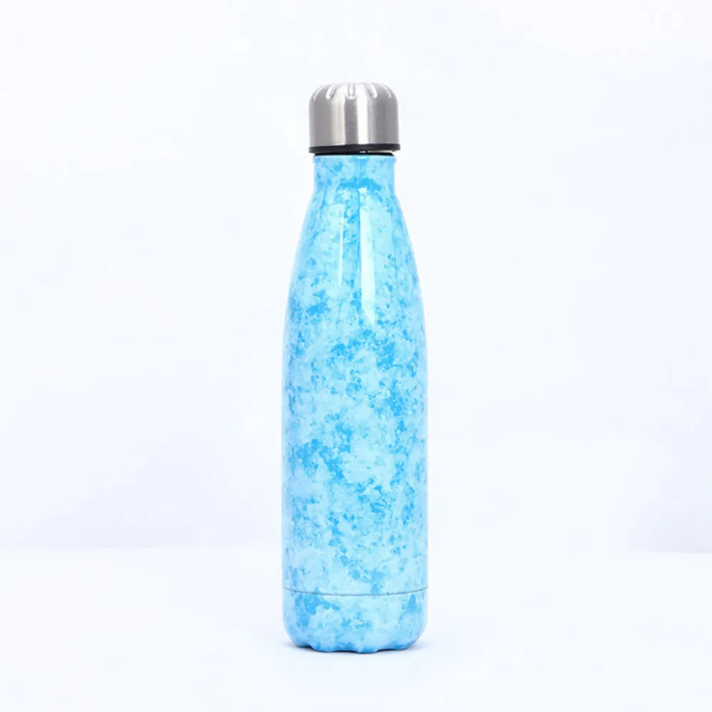 Stainless Steel Water Bottles