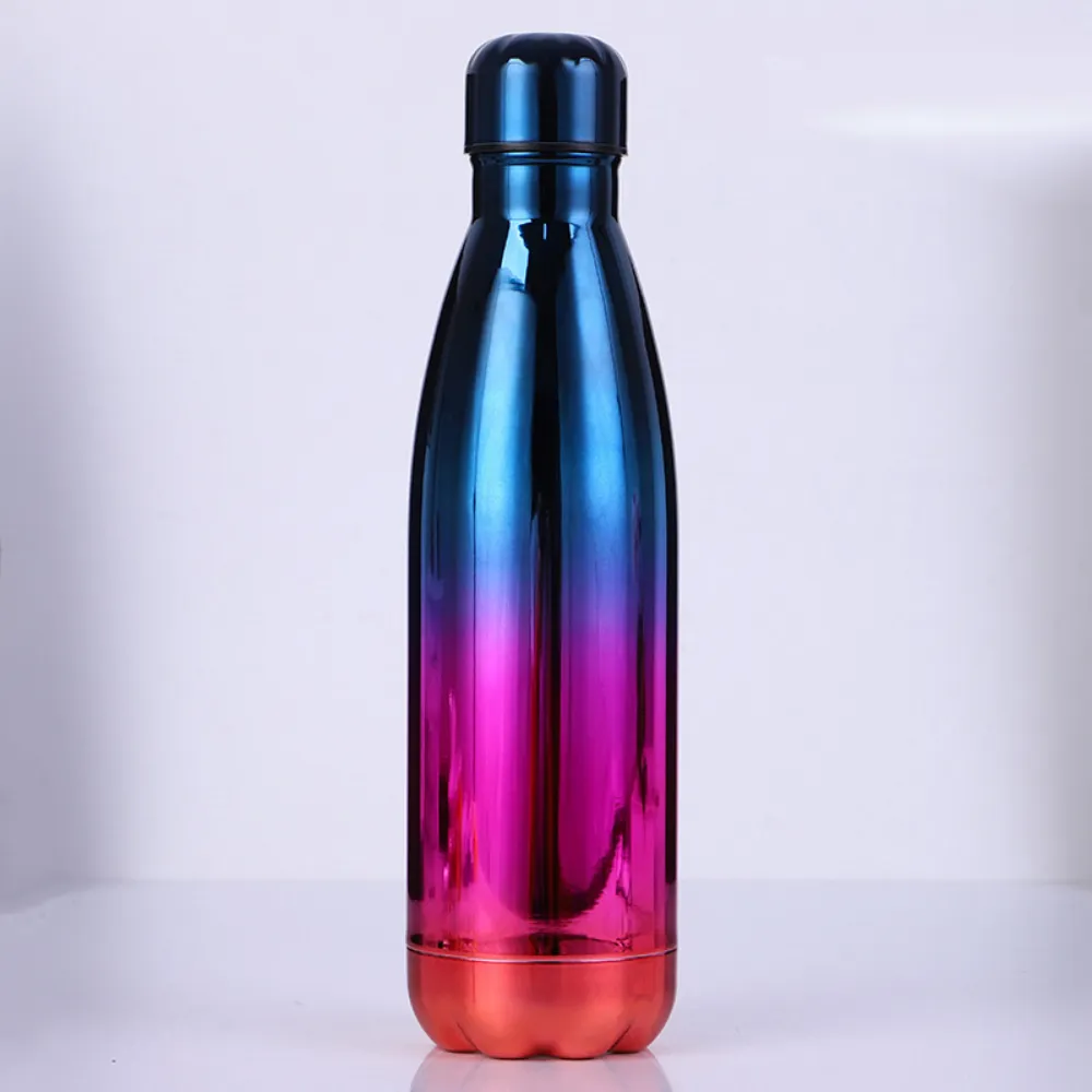 Stainless Steel Water Bottles