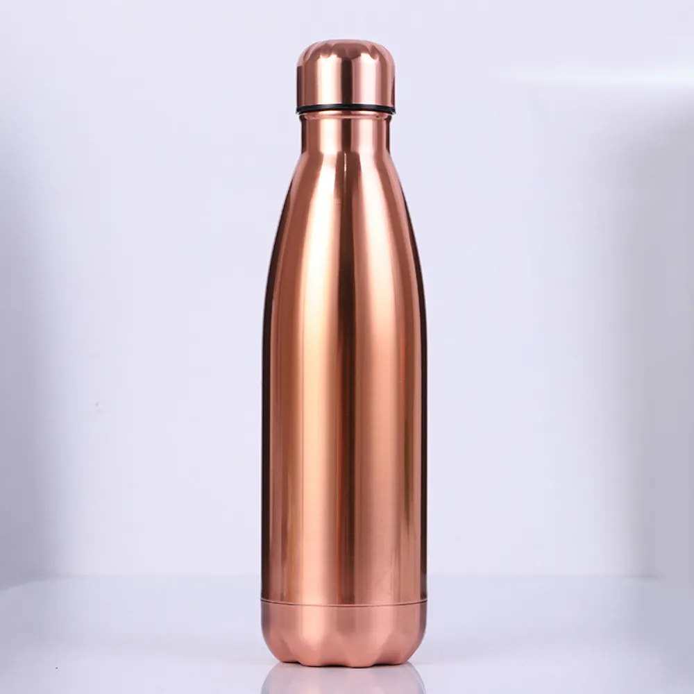 Stainless Steel Water Bottles