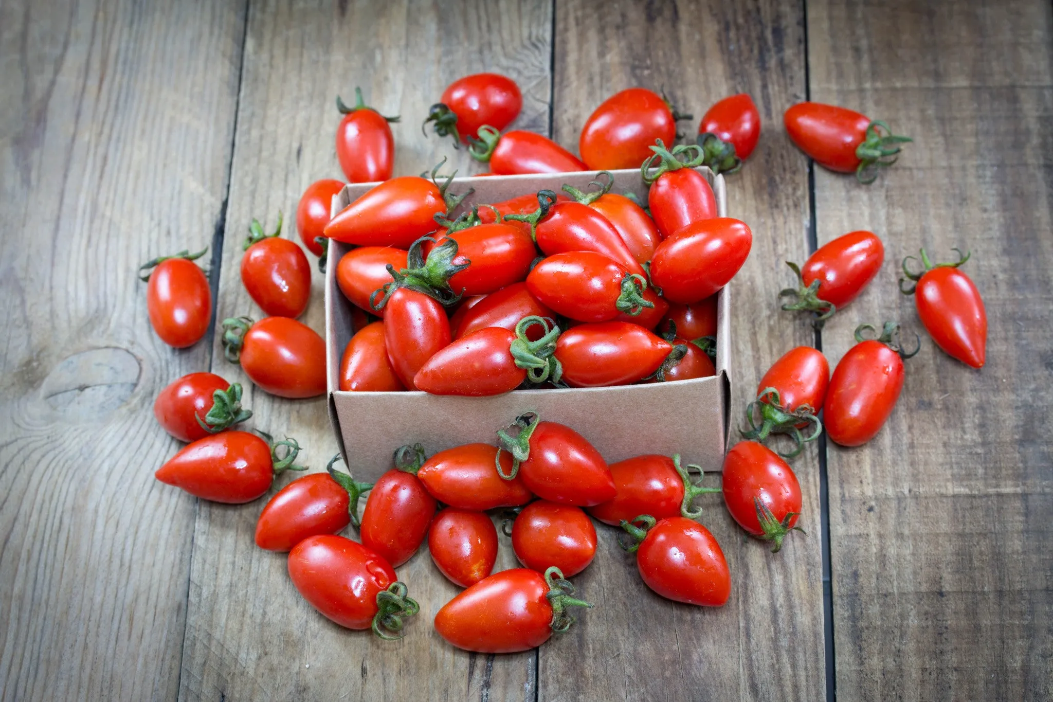 Tomato - San Marzano (Indeterminate)